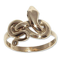 9021 - Bronsring Orm