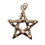 7215 - Bronshänge Pentagram