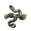 4081 - Silverring "Ringlande orm"