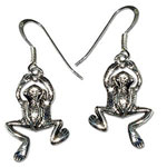 3139 - Silverörhängen Groda